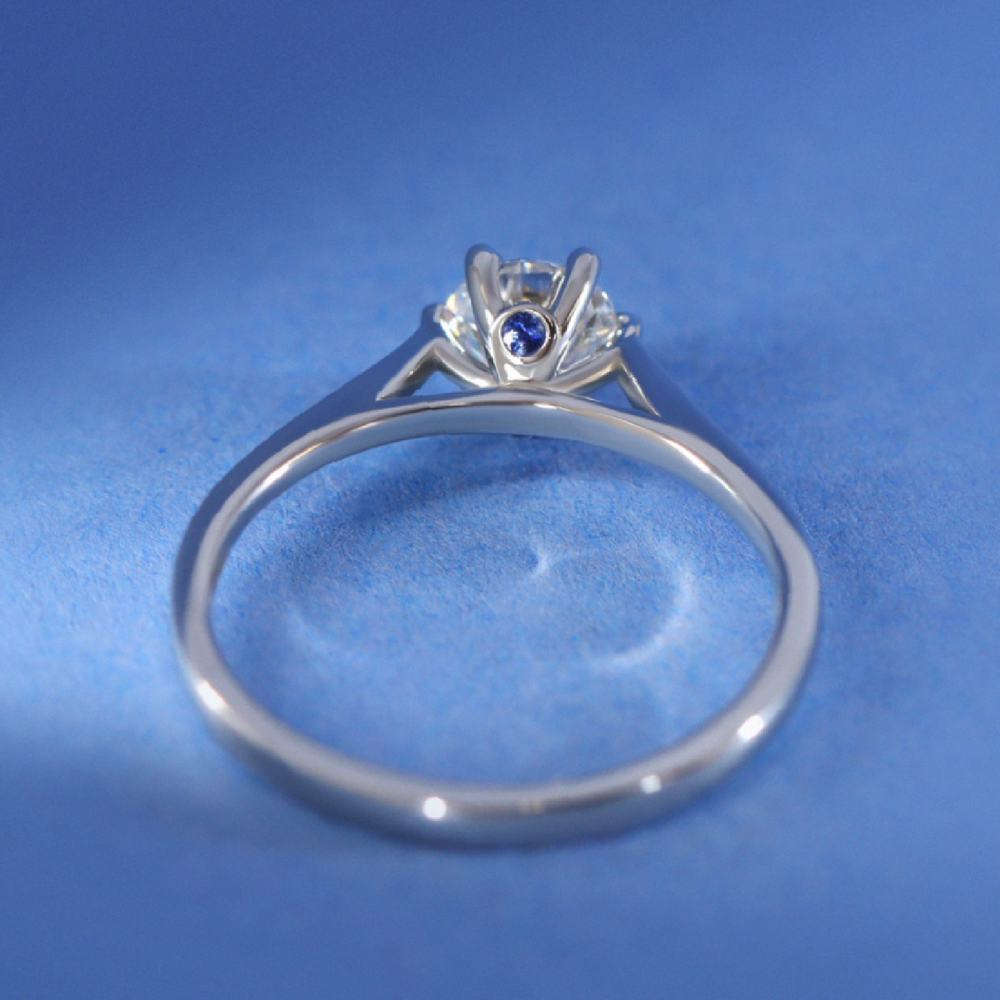 Heidi - Round Cut 1.25ct+ Hidden Diamond Solitaire Engagement Ring Setting