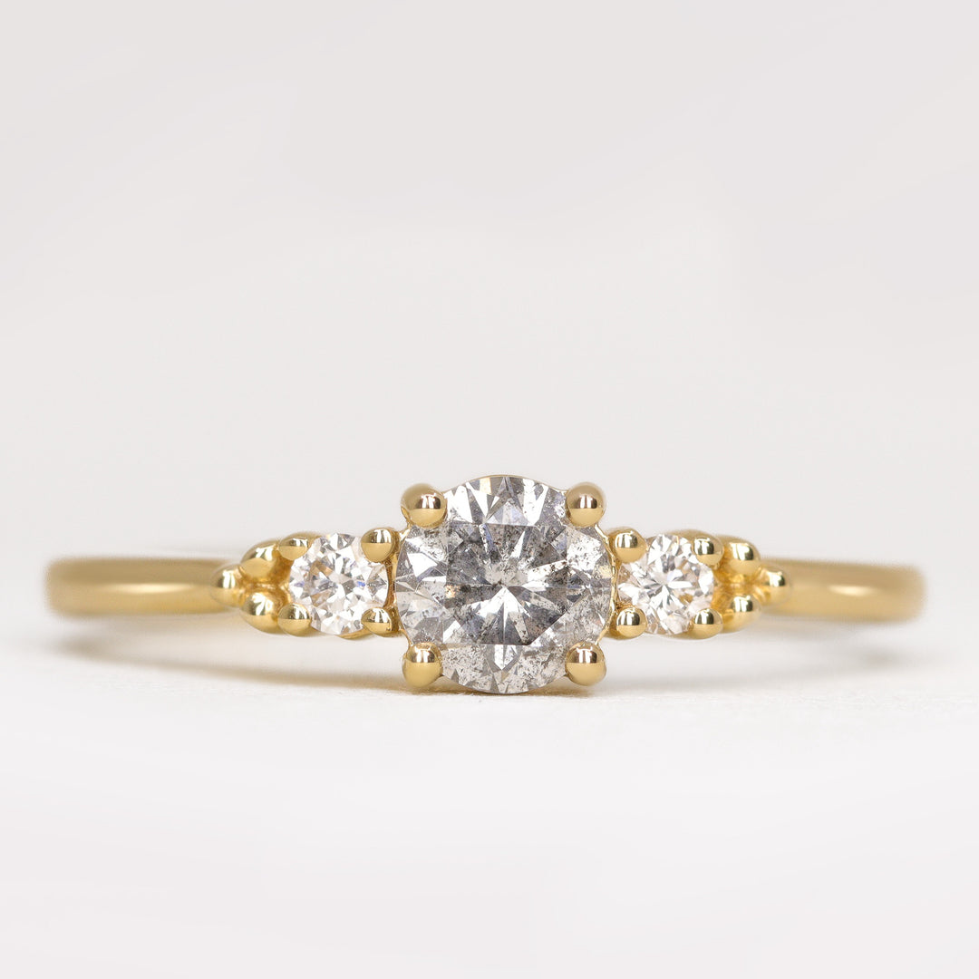 Natalia - Round Brilliant Cut Salt and Pepper Diamond Trilogy Engagement Ring Engagement Rings - Made-to-Order