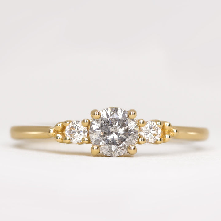 Natalia - Round Brilliant Cut Salt and Pepper Diamond Trilogy Engagement Ring Engagement Rings - Made-to-Order