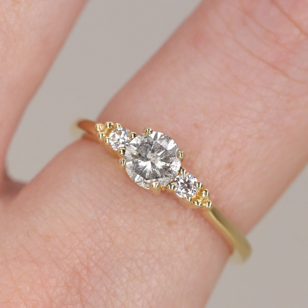 Natalia - Round Brilliant Cut Salt and Pepper Diamond Trilogy Engagement Ring Engagement Rings - Made-to-Order