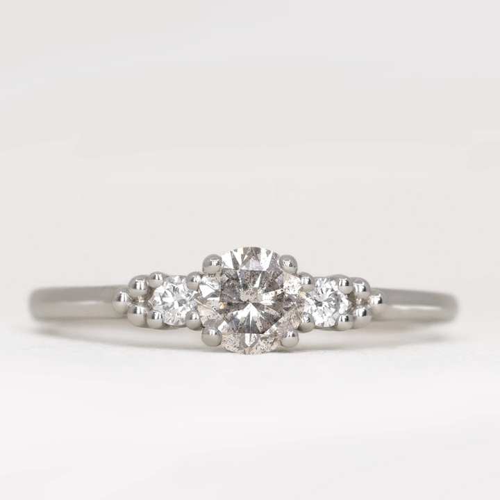 Natalia - Round Brilliant Cut Salt and Pepper Diamond Trilogy Engagement Ring Engagement Rings - Made-to-Order