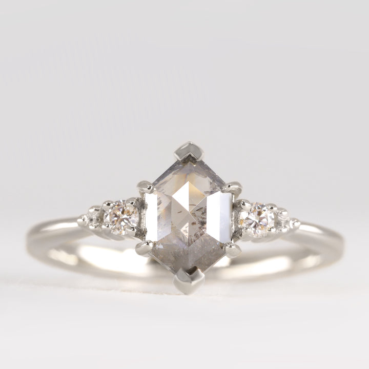 Natalia - Hexagon Rose Cut Salt & Pepper Diamond Trilogy Engagement Ring Engagement Rings - Price On Application