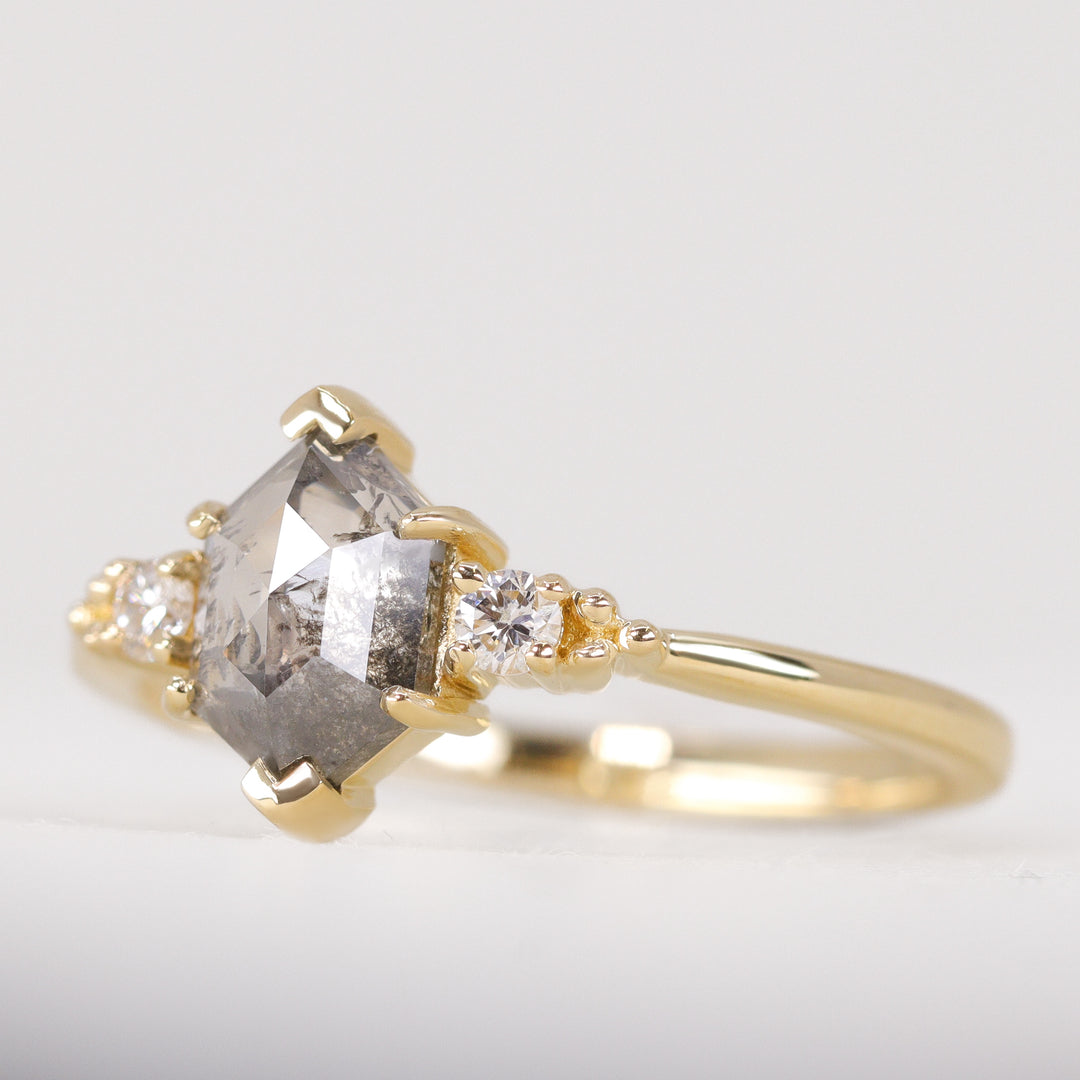 Natalia - Hexagon Rose Cut Salt & Pepper Diamond Trilogy Engagement Ring Engagement Rings - Price On Application