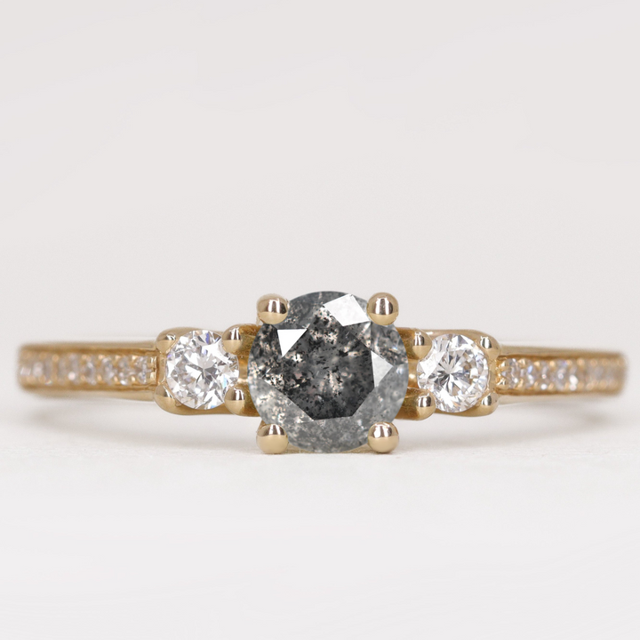 Callie - Round Brilliant Cut Salt And Pepper Diamond Trilogy Engagement Ring Engagement Rings - Made-to-Order