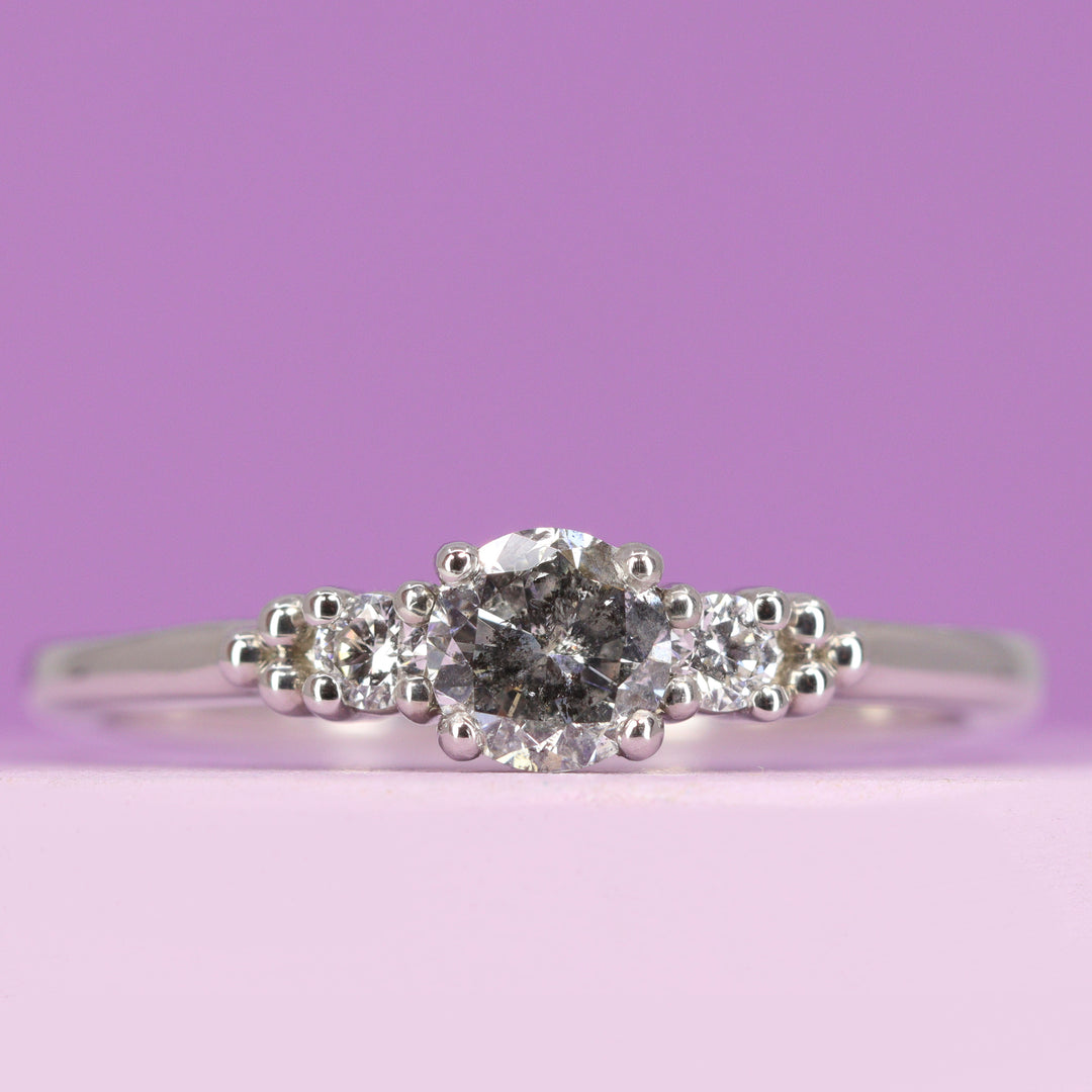 Natalia - Round Brilliant Cut Salt & Pepper Diamond and Lab Grown Diamond Trilogy Engagement Ring in Platinum - Ready-to-Wear