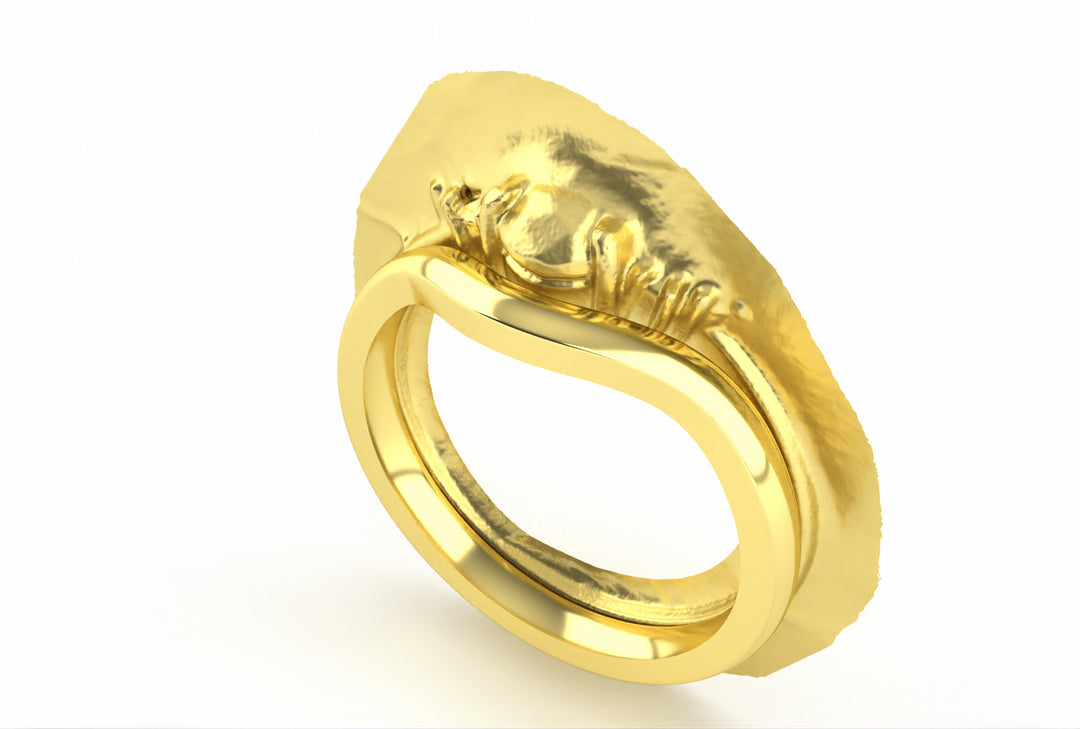 Private Commission - STFW - OO - AO - C.M Bespoke Wedding Ring